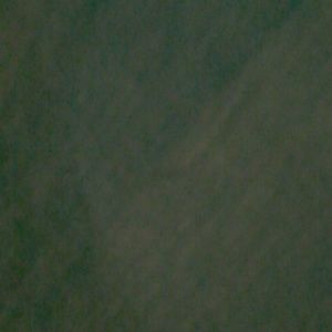 Please stop offering me things.